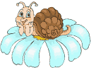 schnecke schnecke